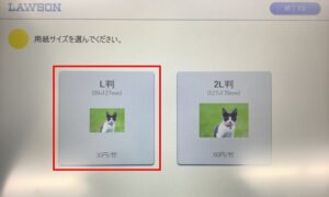 ブリー・ラーソン 直筆サイン入り写真 証明書付 UACCrd+